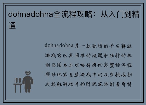 dohnadohna全流程攻略：从入门到精通